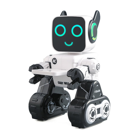 LEORY RC Intelligent Robot Remote Control w/Gesture Control For Children Education