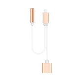 2 in1 Audio Cable iPhone Adapter