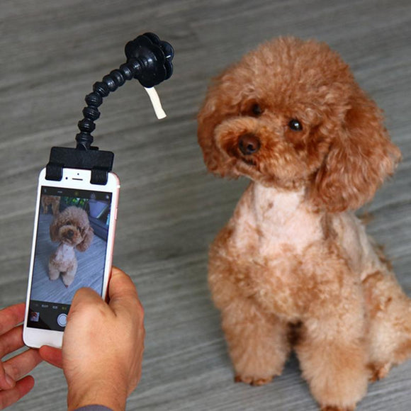 Mobile Phone Pet Selfie Stick